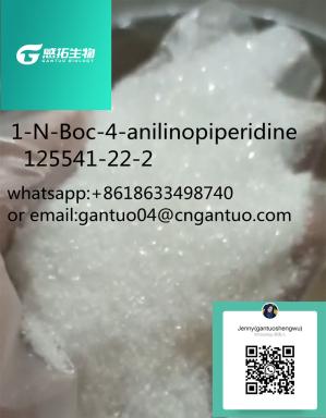  - 1-N-Boc-4-anilinopiperidine  125541-22-2