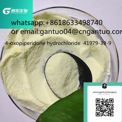  - 4-oxopiperidone hydrochloride 41979-39-9