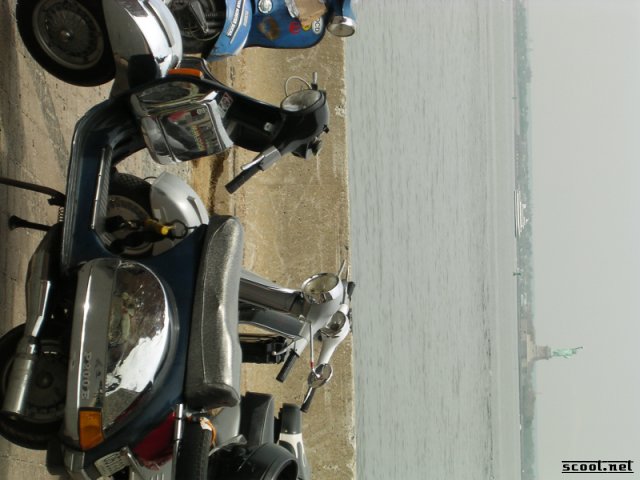 Gallery Pic