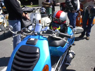 Scooter Insanity - 2004 pictures from 10_Mile