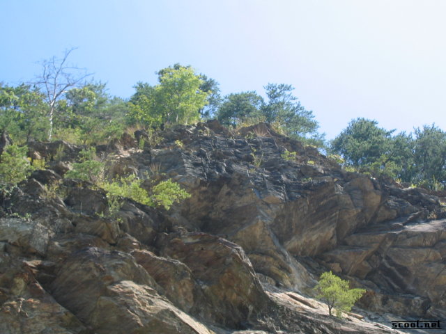 Gallery Pic