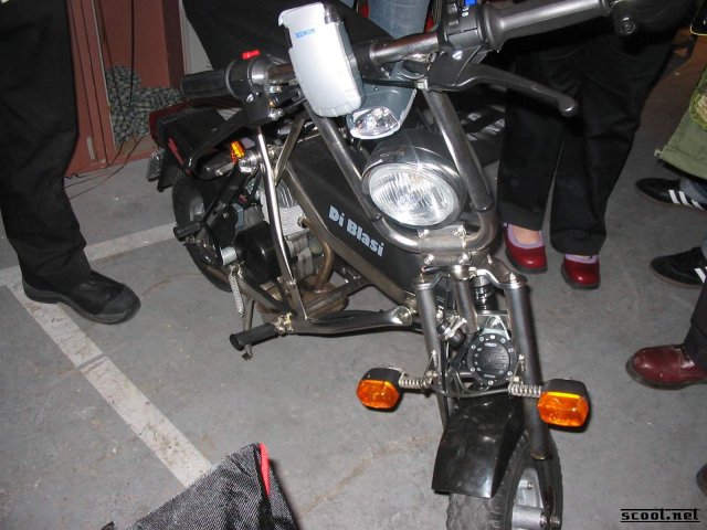 Gallery Pic