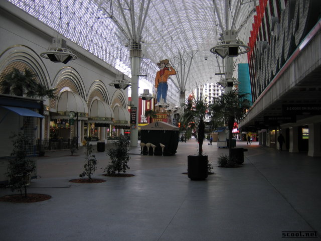 Gallery Pic