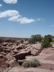 Scoot Moab - 2006 pictures from I_Will_Fight_You