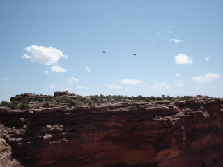 Scoot Moab - 2006 pictures from I_Will_Fight_You