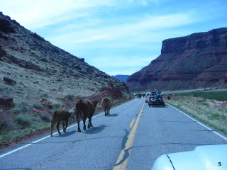 Scoot Moab - 2006 pictures from Phil Lombardo