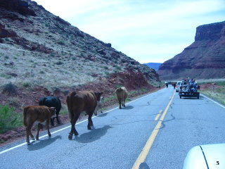 Scoot Moab - 2006 pictures from Phil Lombardo