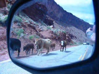 Scoot Moab - 2006 pictures from Phil Lombardo