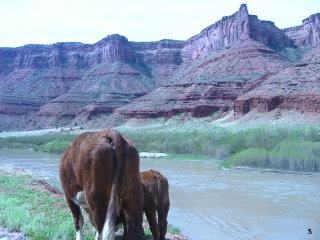 Scoot Moab - 2006 pictures from Phil Lombardo