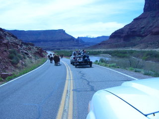 Scoot Moab - 2006 pictures from Phil Lombardo