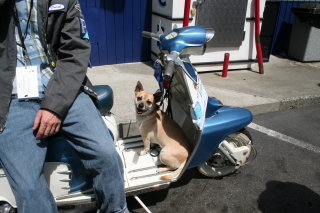 amerivespa - 2007 pictures from chip