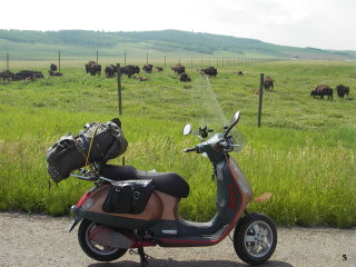 amerivespa - 2007 pictures from nocattle