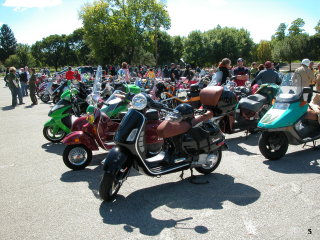 Scoot-A-Que 10: The X Rated Rally - 2007 pictures from IrishTim