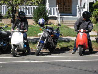 Your Scooter Still Sucks - 2007 pictures from roadkill