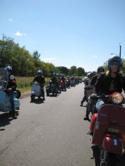 Your Scooter Still Sucks - 2007 pictures from roadkill