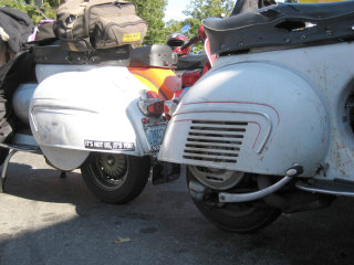 Your Scooter Still Sucks - 2007 pictures from roadkill