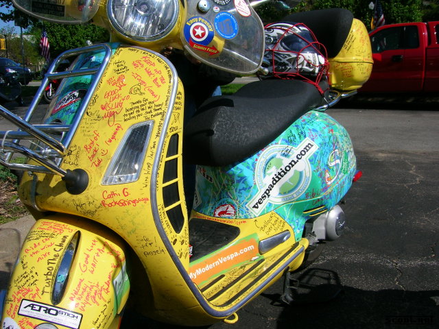 Gallery Pic