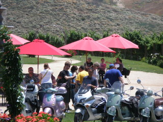 Temecula Wine Ride - 2008 pictures from Tim