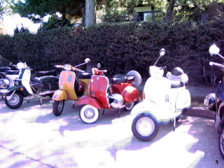 Bagel Brunch and Oddscoot Classic - 2008 pictures from mystery_man