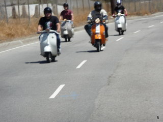 Scoot Invasion - 2009 pictures from grippit