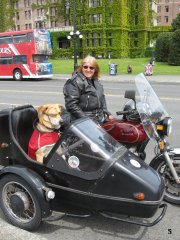 Garden City Scooter Rally - 2010 pictures from Andrew