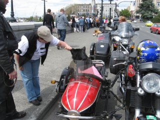 Garden City Scooter Rally - 2010 pictures from Andrew