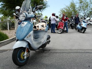 Tucsons May Day Rally - 2010 pictures from Sean_Lynch